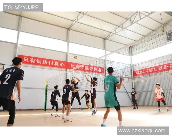 排球比赛经验排行榜揭晓北京排球队荣获第九名成就引关注 排球比赛经验排行榜揭晓北京排球队荣获第九名成就引关注