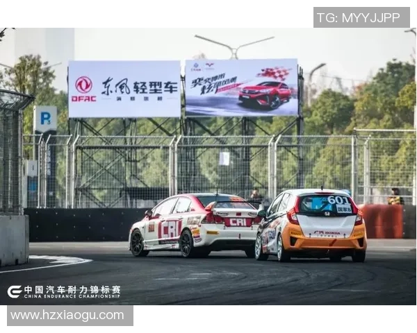 重庆与武汉排球队耐力对决赛后分析与反思